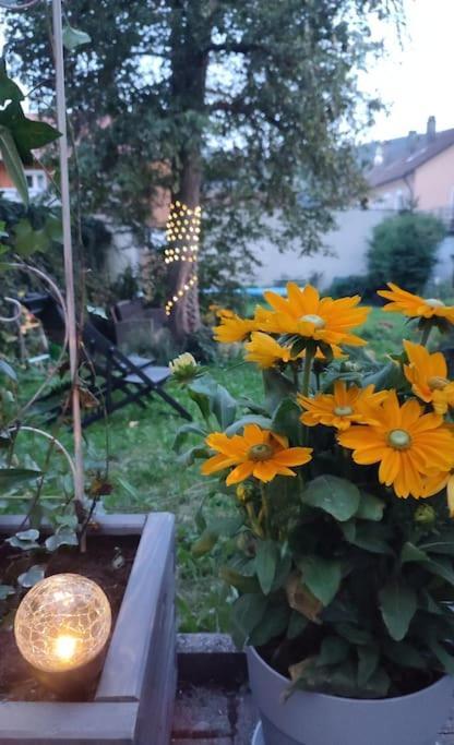 Stilvoll Und Gemuetlich - Wohnen Mit Flair Apartman Albstadt Kültér fotó