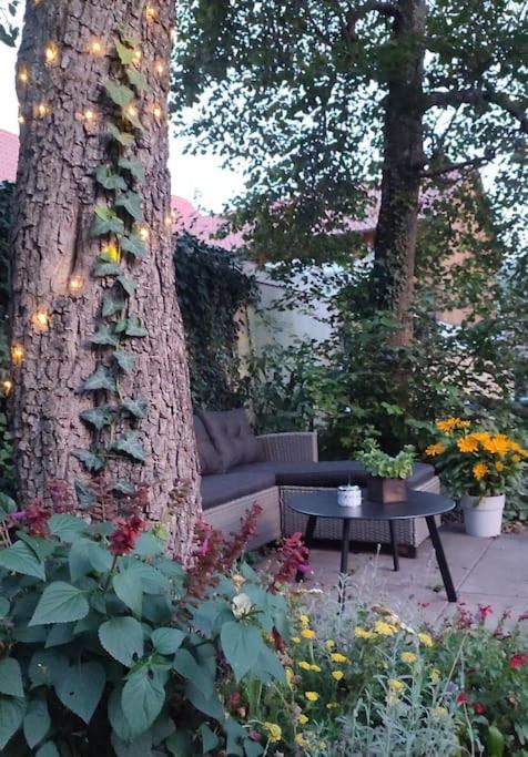 Stilvoll Und Gemuetlich - Wohnen Mit Flair Apartman Albstadt Kültér fotó