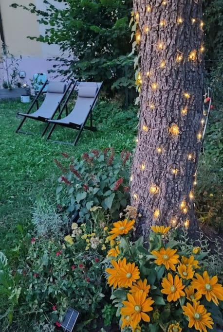 Stilvoll Und Gemuetlich - Wohnen Mit Flair Apartman Albstadt Kültér fotó